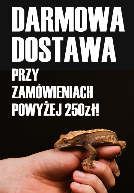 Darmowa wysyłka za zakupy powyżej 250zł!